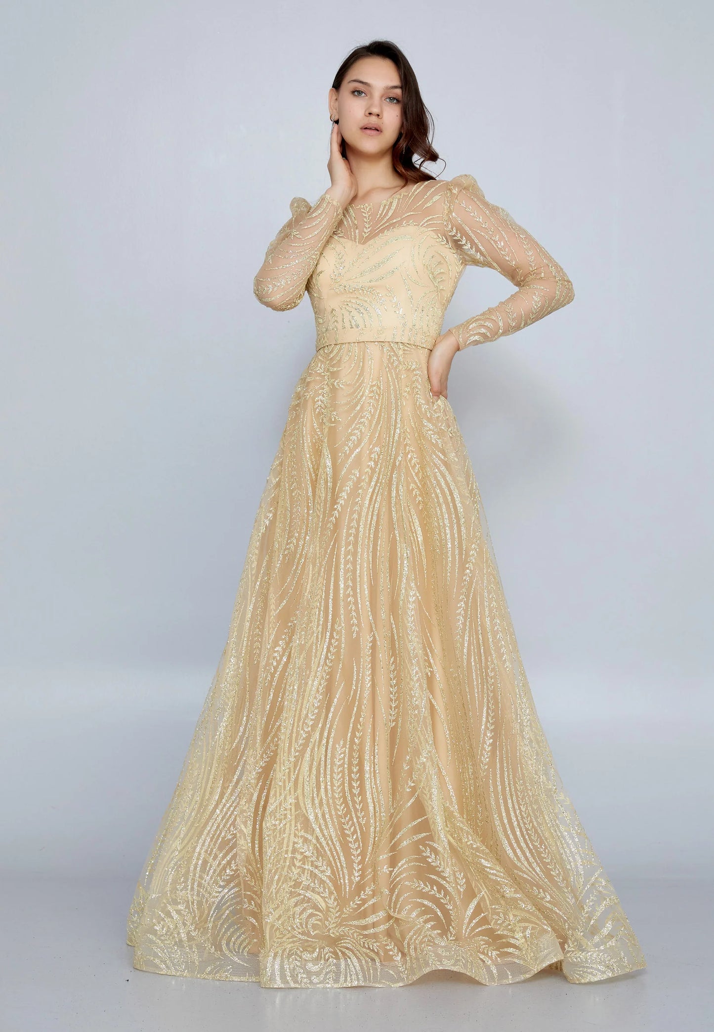 Long Sleeve Maxi Tulle A - Line Regular Prom Dress Unit Price: $48