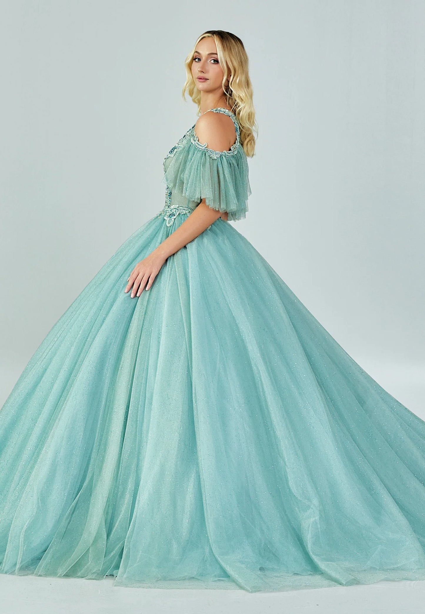 Off Shoulder Maxi Tulle Regular Engagement Dress Unit Price: $210