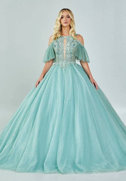 Off Shoulder Maxi Tulle Regular Engagement Dress Unit Price: $210