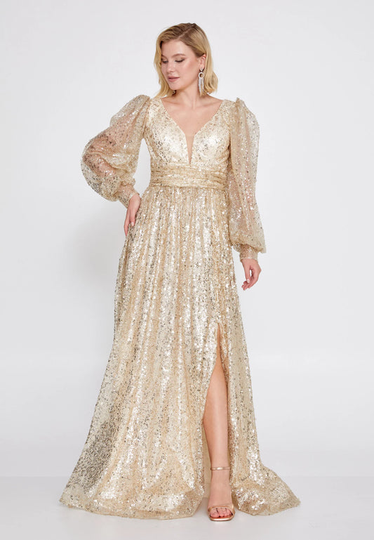 Long Sleeve Maxi Tulle A - Line Regular Prom Dress Unit Price: $74